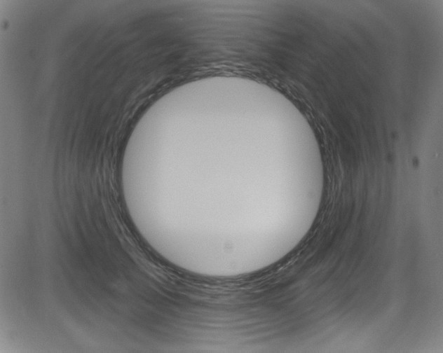 X0000083070705200702021011