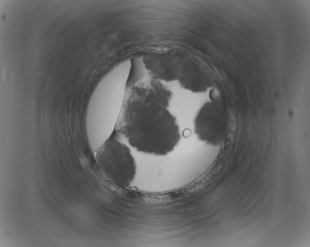 X0000083070707200702021011