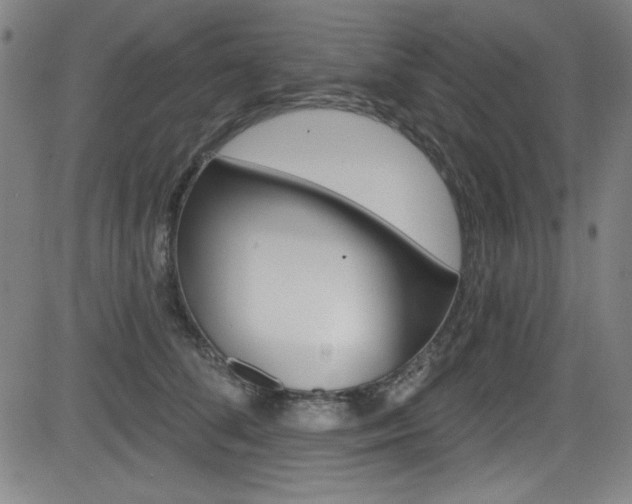 X0000083070708200702021011