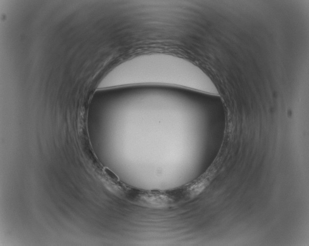 X0000083070712200702021011