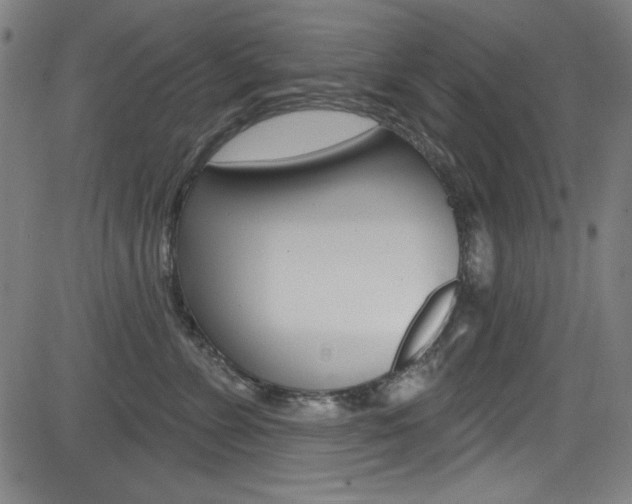X0000083070715200702021011