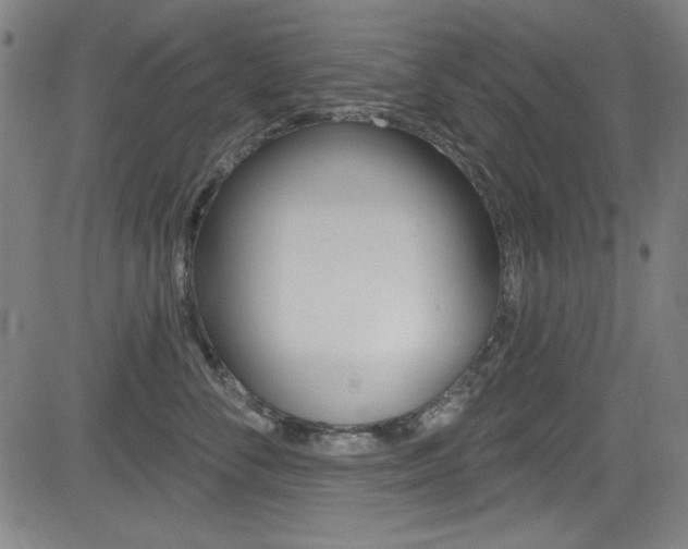X0000083070716200702021011