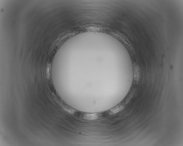 X0000083070717200702021011