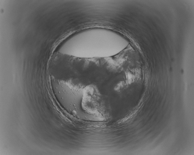 X0000083070721200702021010