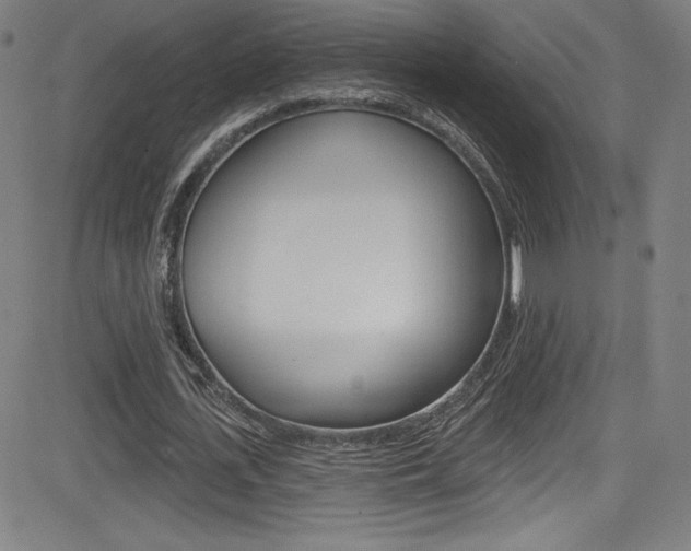X0000083070723200702021010