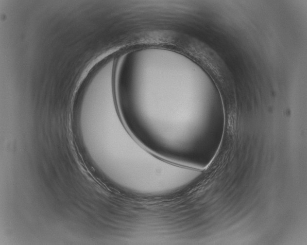 X0000083070724200702021010