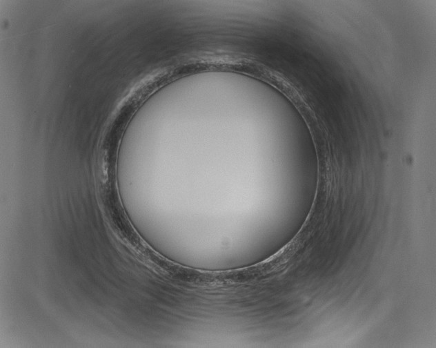 X0000083070731200702021010