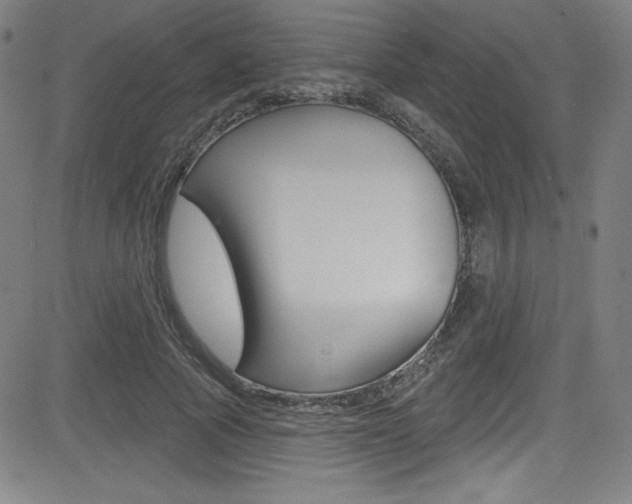 X0000083070737200702021010