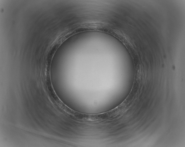 X0000083070739200702021010