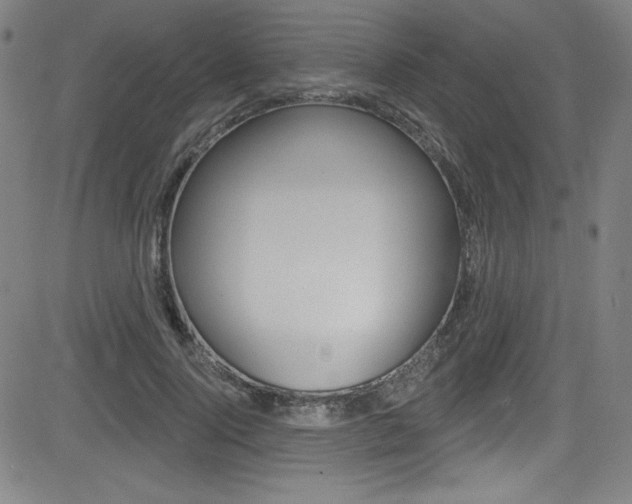 X0000083070740200702021010