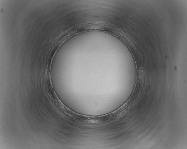 X0000083070741200702021010