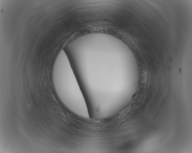 X0000083070753200702021010