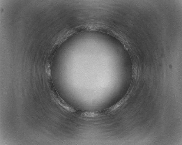 X0000083070766200702021011