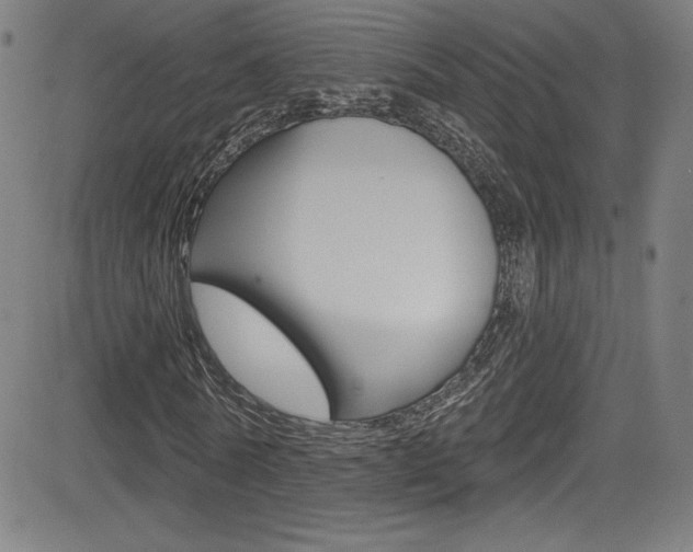 X0000083070770200702021010