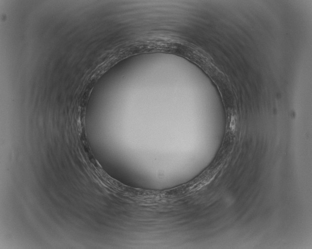 X0000083070771200702021010