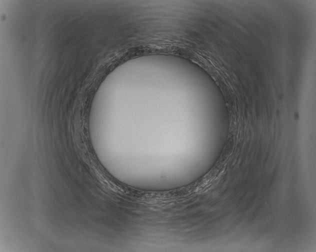 X0000083070817200702021008