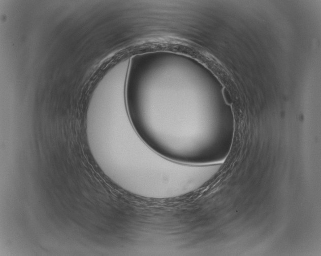 X0000083070822200702021008