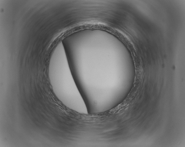 X0000083070823200702021008