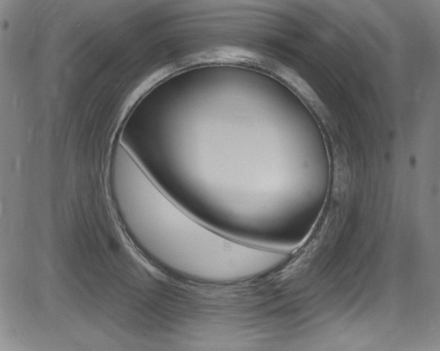 X0000083070850200702021009
