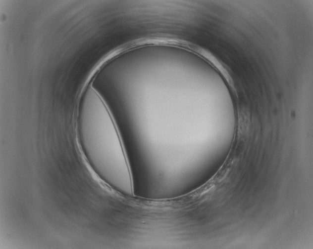 X0000083070861200702021009