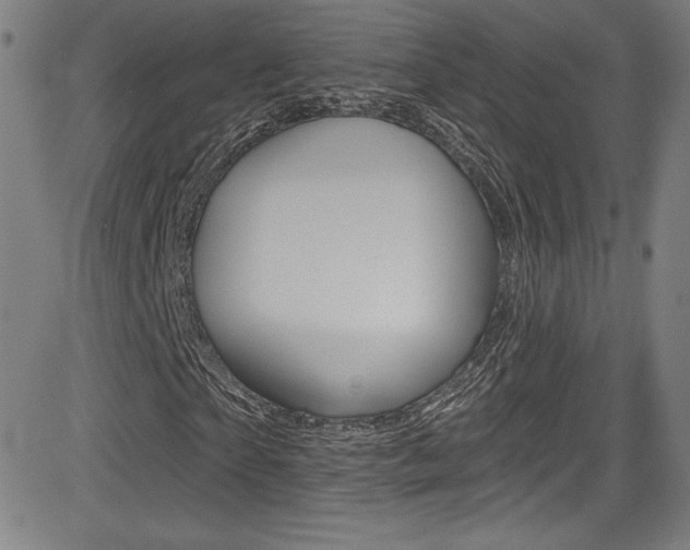 X0000083070865200702021008