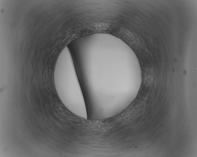 X0000083070866200702021008