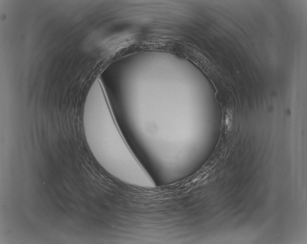 X0000083070867200702021008