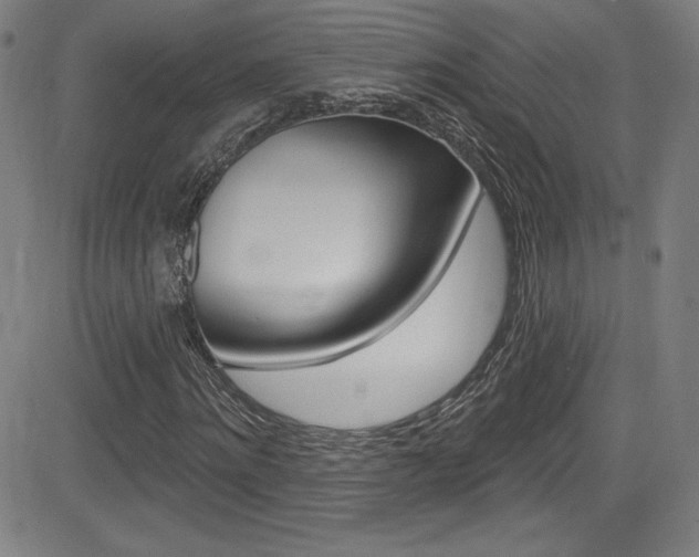 X0000083070868200702021008