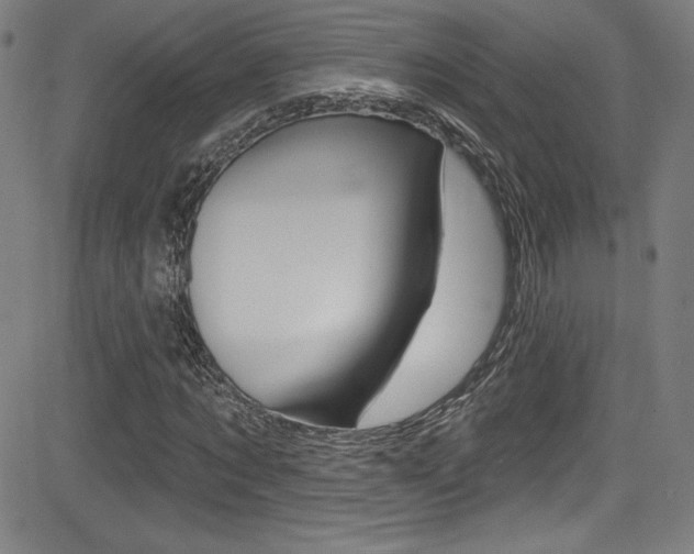 X0000083070869200702021008