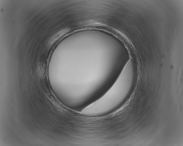X0000083070873200702021008