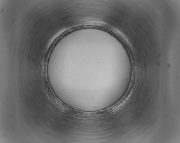 X0000083070875200702021008