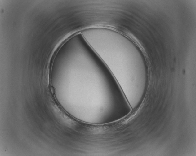 X0000083070892200702021008