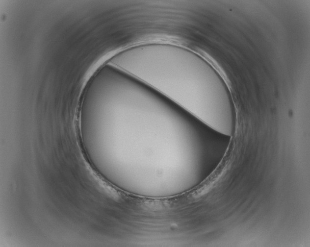 X0000083070901200702021008