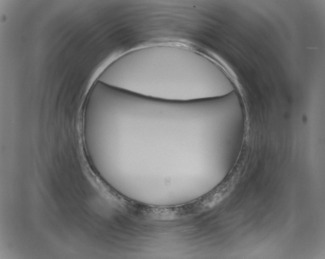 X0000083070907200702021008