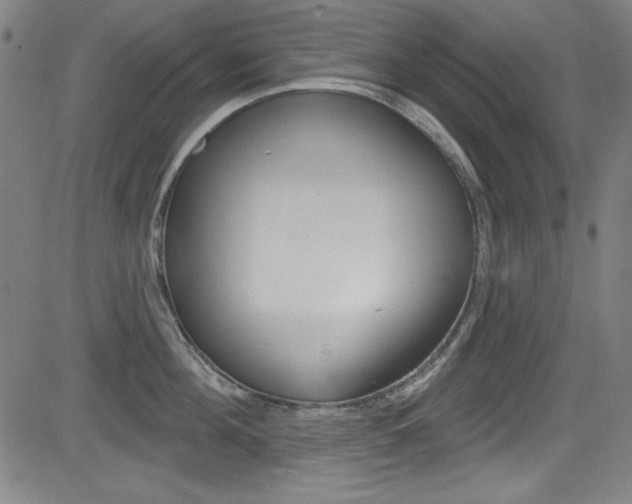 X0000083070908200702021008