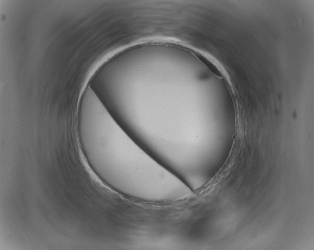 X0000083070911200702021007