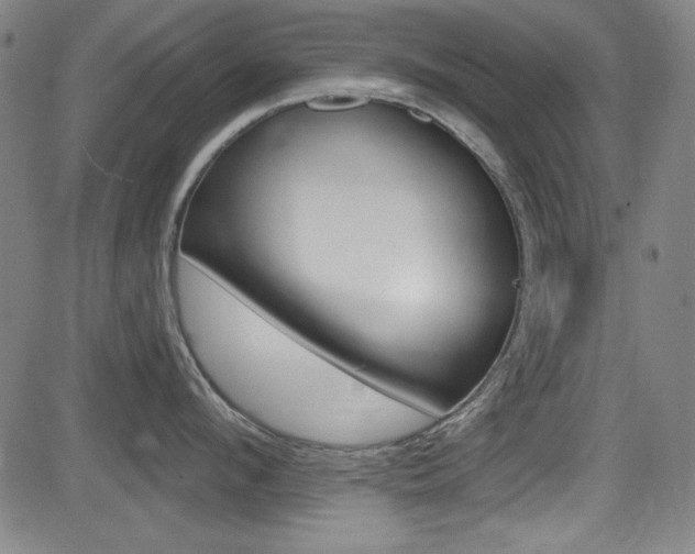 X0000083070912200702021007