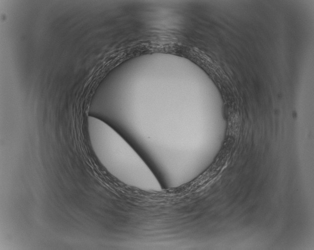 X0000083070913200702021007