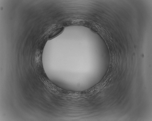 X0000083070914200702021007