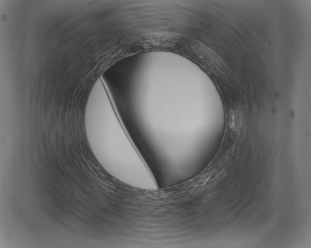 X0000083070915200702021007