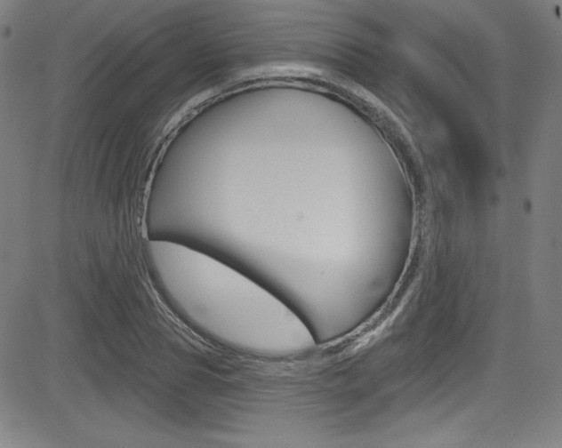 X0000083070929200702021007