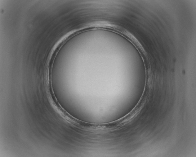 X0000083070939200702021007