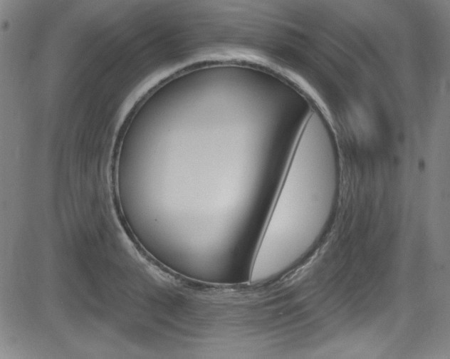 X0000083070943200702021007