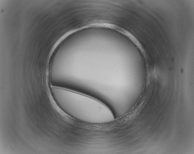 X0000083070955200702021007