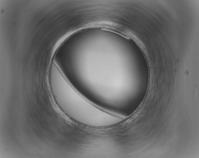 X0000083070960200702021007