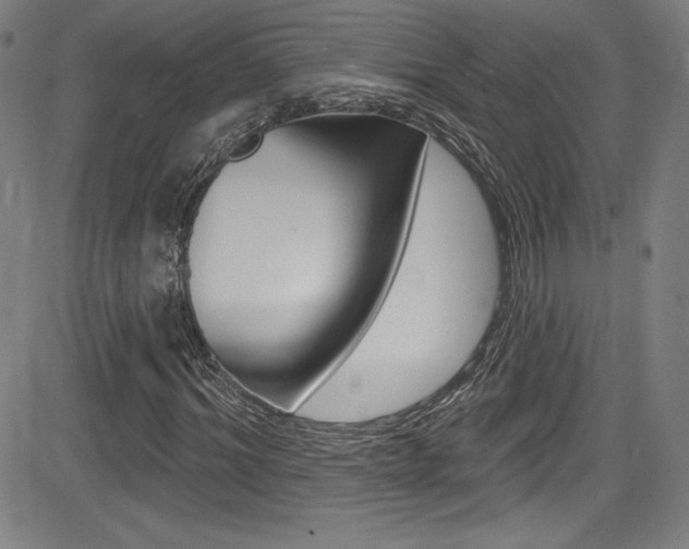 X0000083070964200702021007