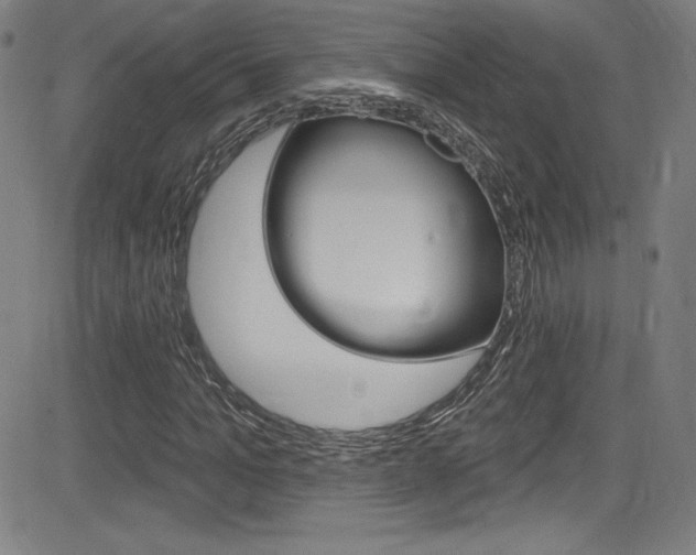 X0000083070965200702021007
