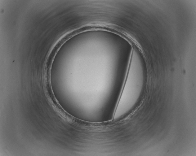 X0000083070976200702021006