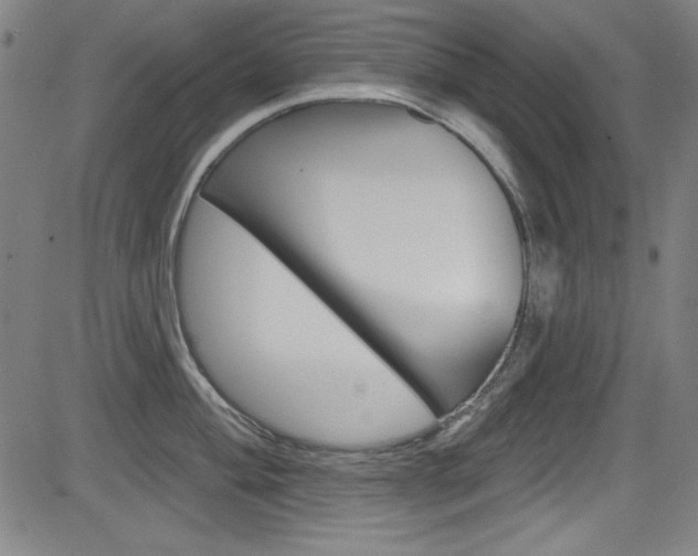 X0000083071004200702021006