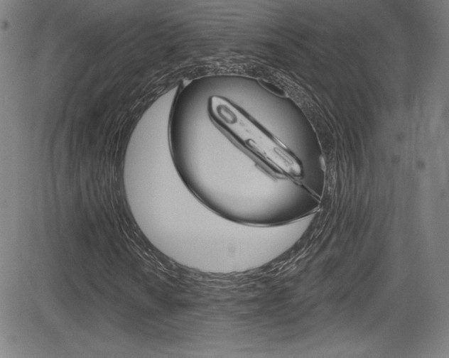 X0000083071010200702021005
